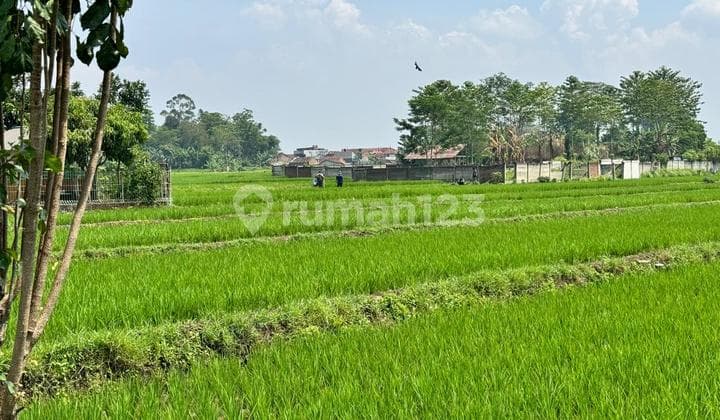 Termurah Tanah Luas di Dekat Tol Soreang Bandung