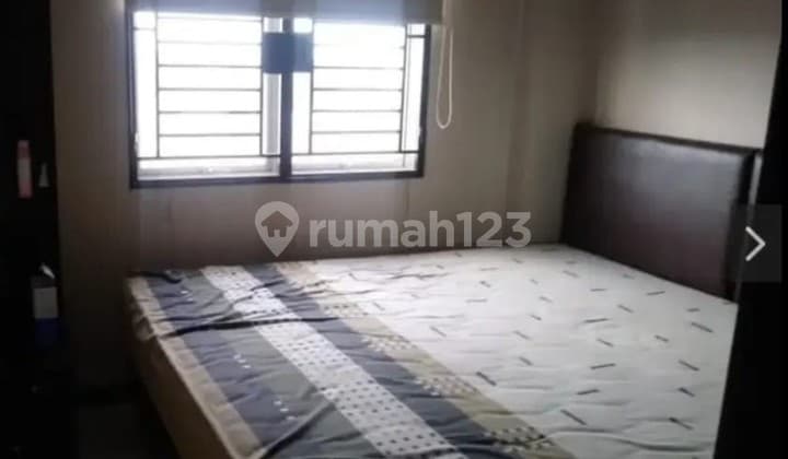 Apartment Palm Mansion (2 BR)