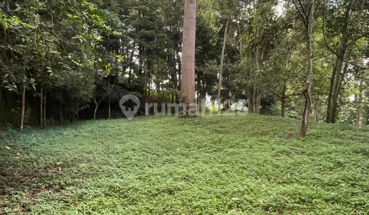 Cheap Land, Large 2030 M2, Good Strategic Location, Freehold Title in Upper Dago