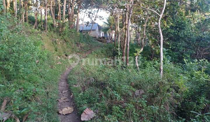 Cheap Land Ready to Build, Strategic with SHM in Klumpu Village, Nusa Penida