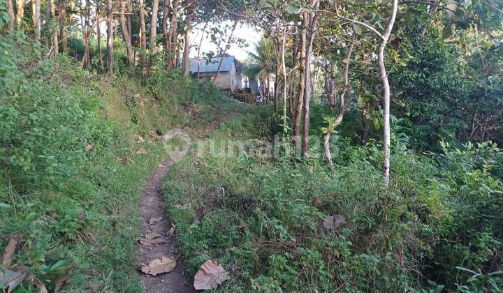 Cheap Land Ready to Build, Strategic with SHM in Klumpu Village, Nusa Penida