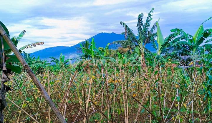 Tanah Strategis dengan View Gunung Salak dan Gunung Gede