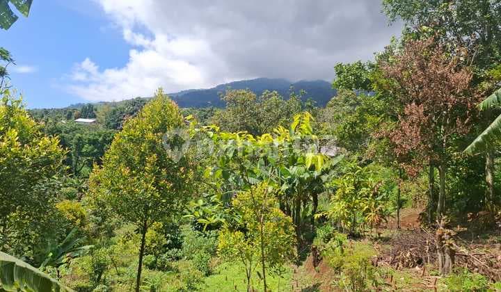 Tanah Murah Di Cijeruk Dengan View Gn Gede Pangrango Dan Gn Salak