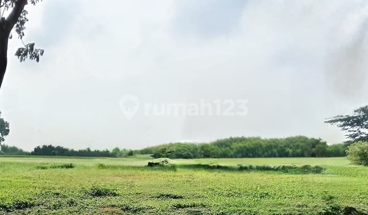 Kavling Jual Cepat Murah, Selat Golf Citraland Surabaya Barat