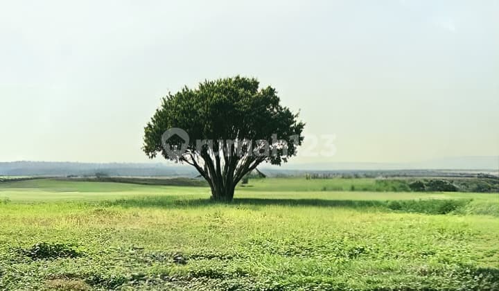 Kavling Double Long Golf View, Jual Murah, Bukit Golf Internasional, Surabaya Barat, Siap Bangun