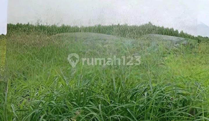 Tanah Raya Benowo Surabaya Barat Siap Bangun Tanah Raya Benowo Surabaya Barat Siap Bangun