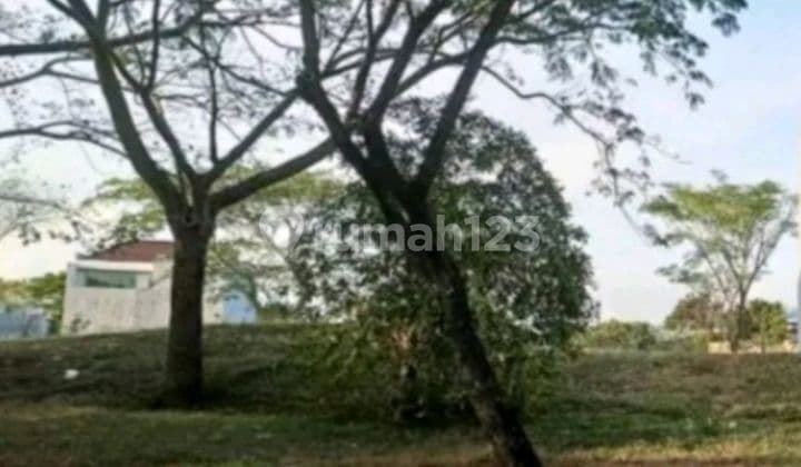 Tanah Kavling Bukit Golf Internasional Citraland