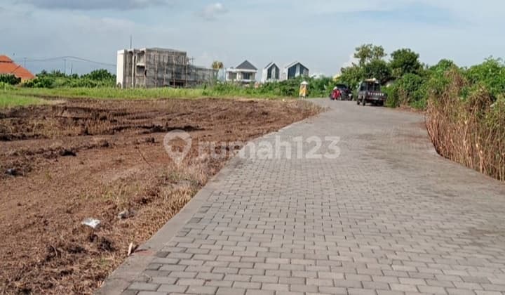 Premium Land 30Are di Batu Bolong Canggu - Kawasan Favorit Turis Mancanegara