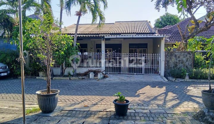 Rumah pondok indah Wiyung Perlu renovasi ❗️Hitung tanah❗️