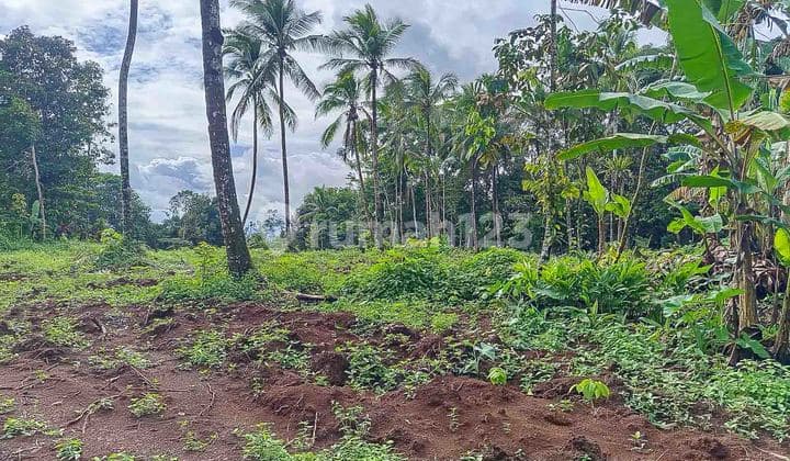 Jual Tanah Murah Pandeglang Banten