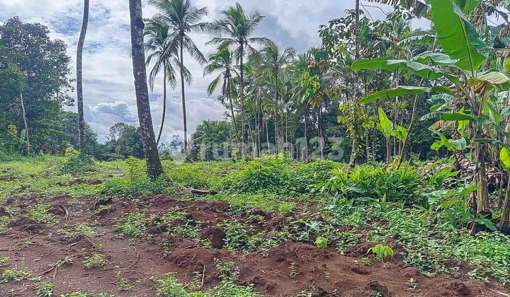 Jual Tanah Murah Pandeglang Banten