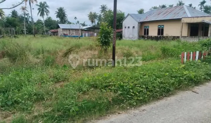 Tanah Stratrgis Di Koya Muara Tami Tanah