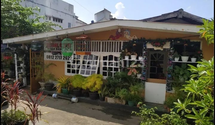 Rumah Kawasan Dok 5 Jayapura Rumah