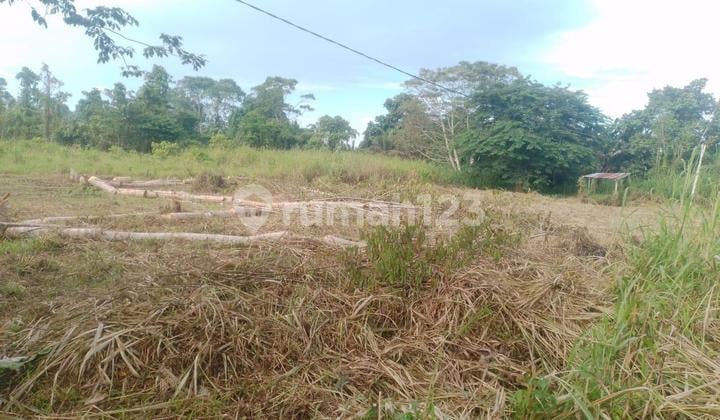 Tanah Kavling Di Tengah Kota Merauke