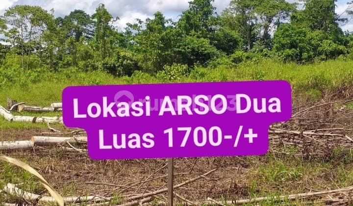 Tanah Seluas 1799 Arso Dua Keerom Harga Murah