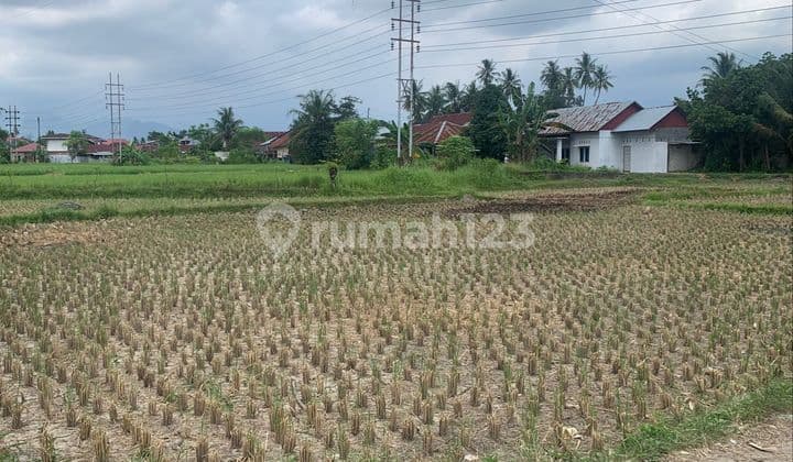 Tanah Luas Di Kota Padang,lokasi Strategis Harga Terbaik!