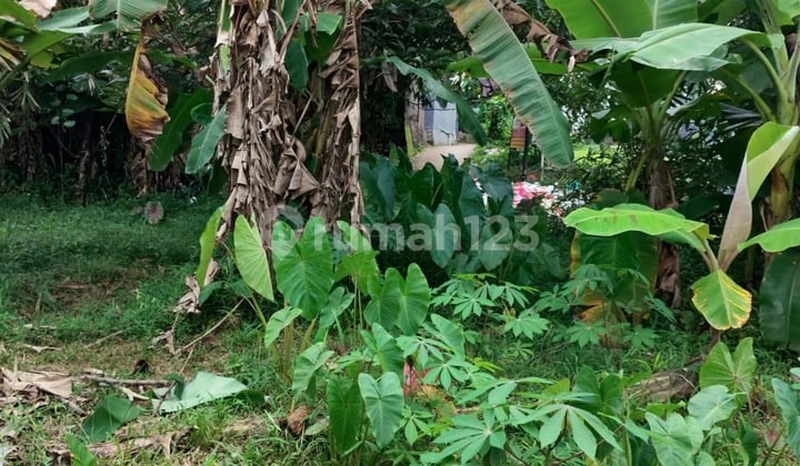 Dijual Tanahjl. Raya Cangkrang, Rt.03/Rw.01, Cikarawang, Kec. Dramaga, Kabupaten Bogor, Jawa Barat 16680