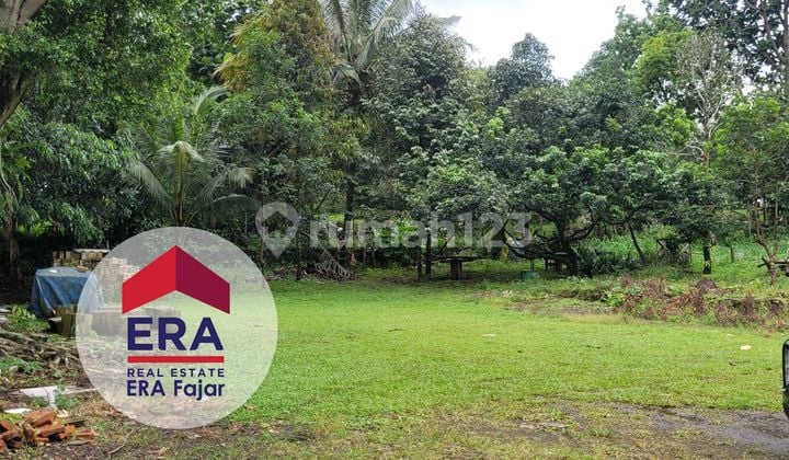 Dijual Tanah Di Megamendung Bogor
