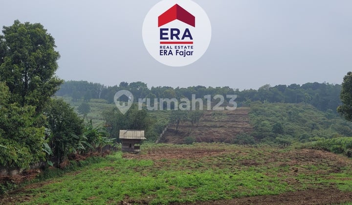 Lahan Tanah Di Desa Pasir Angin Megamendung Bogor