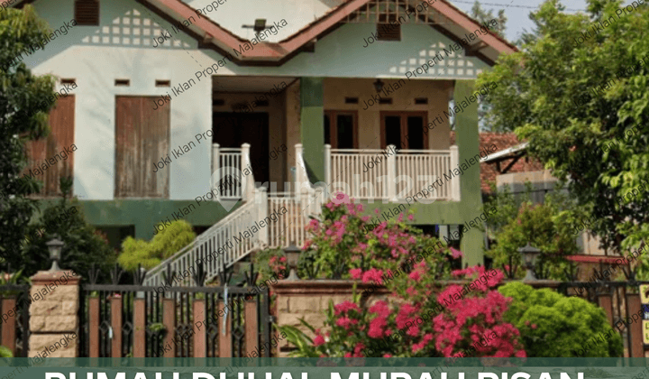 Dijual cepat Rumah 2 lantai luas + Kolam dan kandang merak