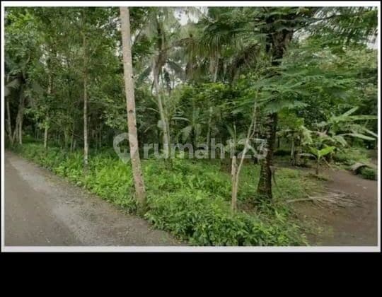 Tanah Lokasi Strategis, Banyuurip, Purworejo