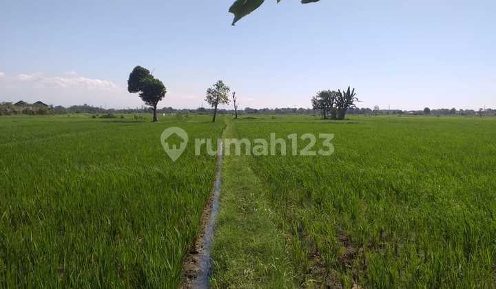Dijual Tanah SHM Dekat Exit Tol Grati