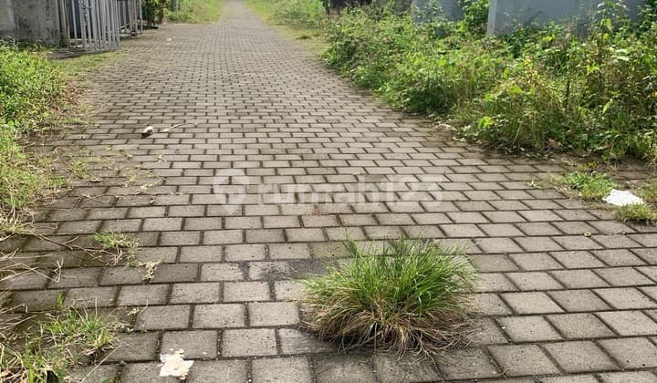 Tanah Kavling Dekat Pusat Kota Tabanan dan Wisata Jatiluwih