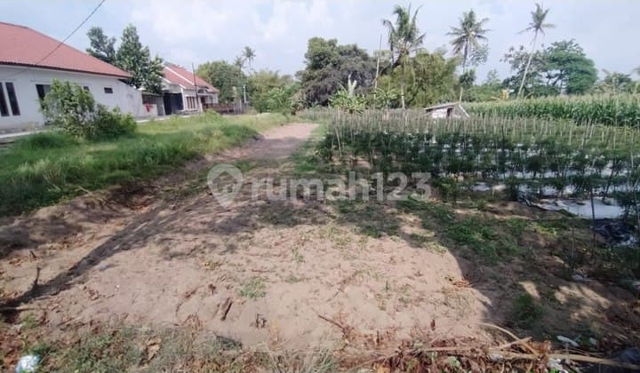 Jual Tanah Pekarangan Strategis Mangku Jalan Utama Baran Ngaglik