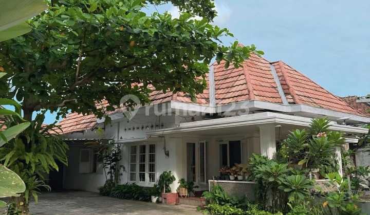 Rumah Model Kolonial Luas Ditengah Kota Yogyakarta Clasic Nyaman