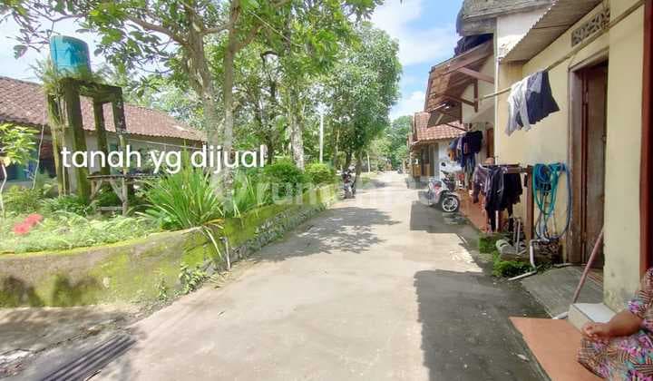 Investasi Pekarangan Karangjemjem Sardonoharjo Ngaglik Sleman