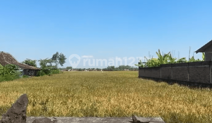 Dijual Tanah Zona KPI di Sragen