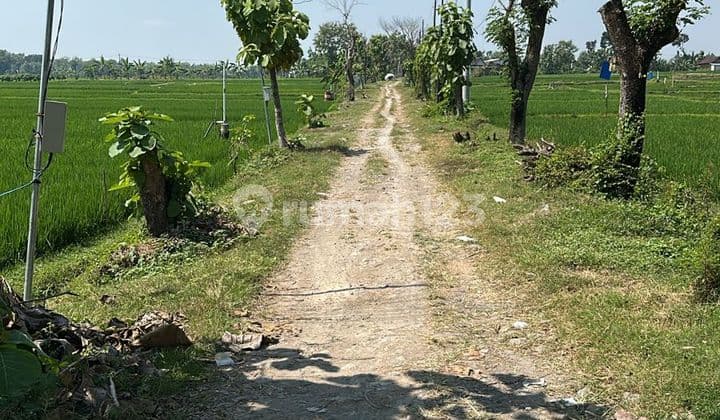 Dijual Tanah di Sragen