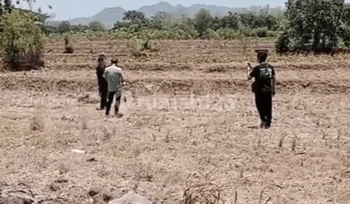 Dijual Tanah di Rembang