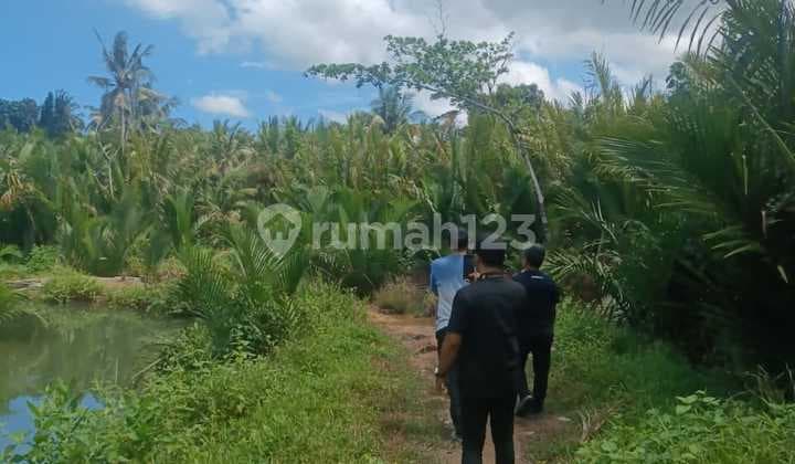 Tanah Kosongjalan Batukaras, Sungai Cijulang Batukaras Pangandaran
