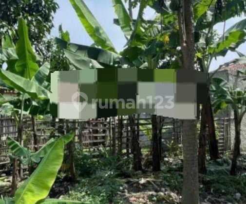 Strategis Shm Siap Bangun (kosong) Ramai