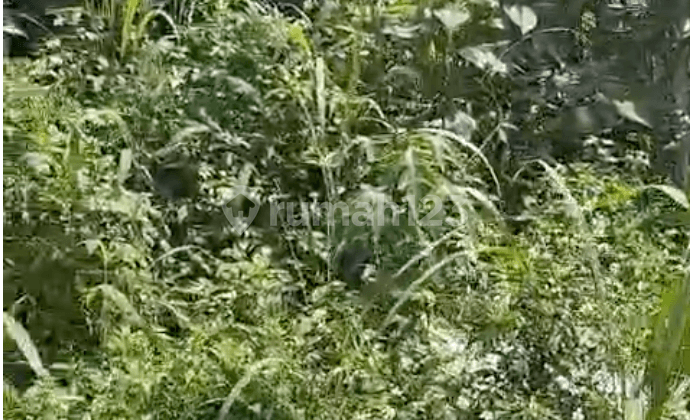 Dijual Tanah Kavling Sayap Soekarno Hatta Bandung Kota