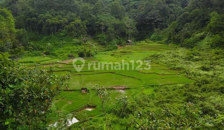 Dijual Cepat Tanah Pemandangan Bagus, Kabupaten Bogor, Jawa Barat