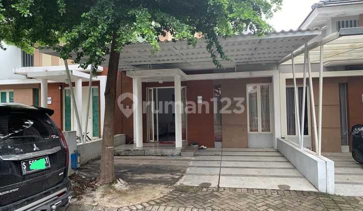 Dijual Rumah Di Kawasan Elite Green Orchids Selangkah Ke Suhat Dekat Kampus Brawijaya Ub Shm