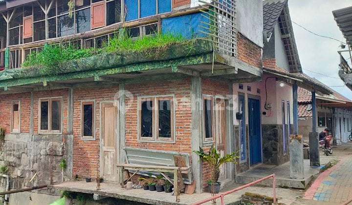 Rumah View Sawah Sangat Cocok untuk Kenyamanan di Wajak