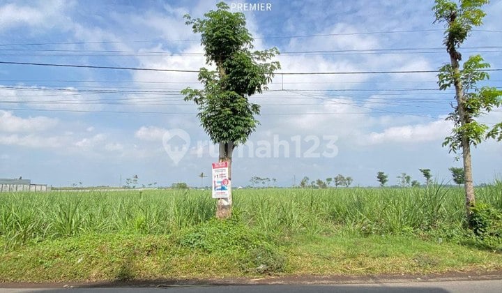 Tanah Nol Jalan Raya Tajinan Malang Cocok Buat Inves