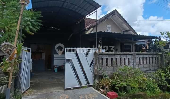 Rumah Modern 500 Jutaan di Kerambitan, Tabanan Bali