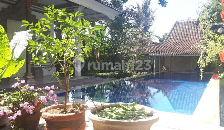 Tropical Oasis In Sanur! Sewa Villa Mewah 4 BR - Taman Luas & Kolam Renang Pribadi