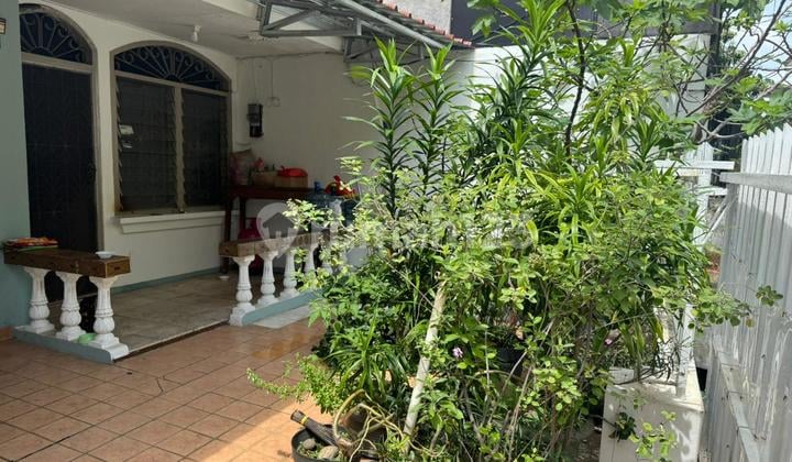 Jual Butuh Rumah 1.5 Lt Kelapa Cengkir Kelapa Gading Jakarta Utara