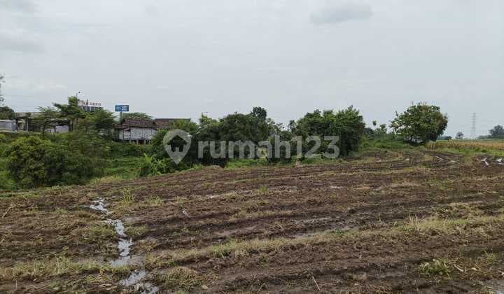 Dijual Tanah Luas di Pacet Mojokerto