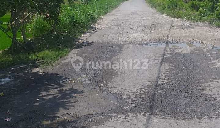 Tanah Zona Kuning Blahbatuh Gianyar