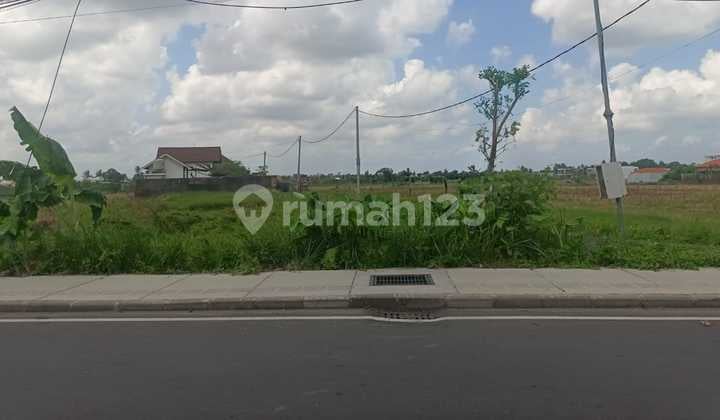Strategic Land 10 Are Green Zone Canggu
