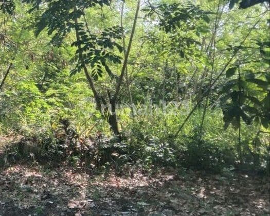 Tanah 200M² di Sukajadi, Batam Centre, Batam Lokasi Strategis