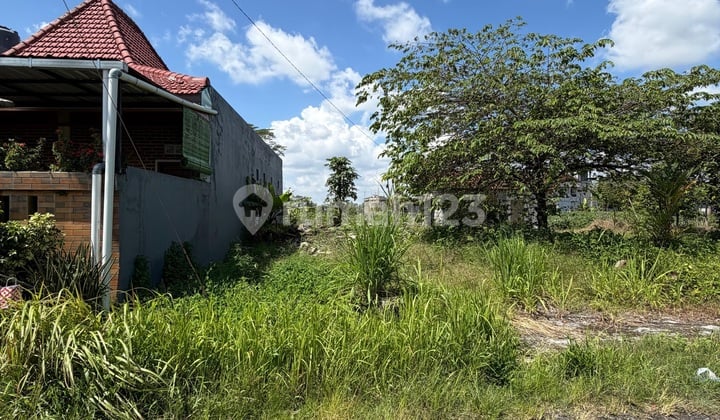 Tanah,View Sawah dan Gunung Merapi Buat Homestay