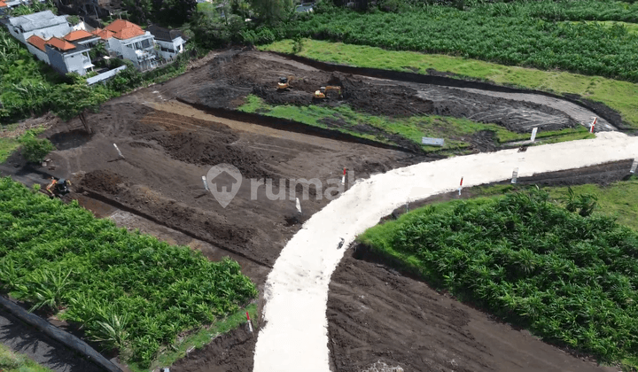 Kavling Premium SHM (Freehold) di Canggu Dalam Kawasan 10 Hektar