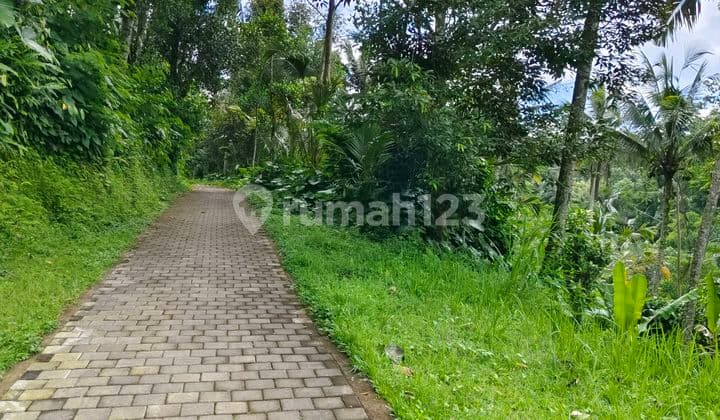 Tanah Los Sungai dengan View Lembah dan Hutan